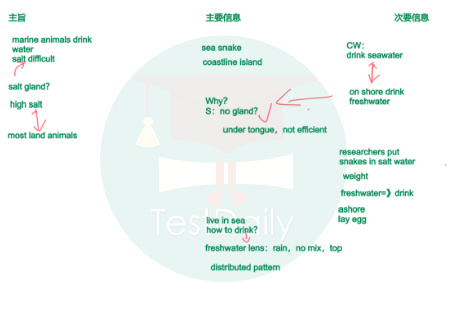 托福艺术类讲座思维导图