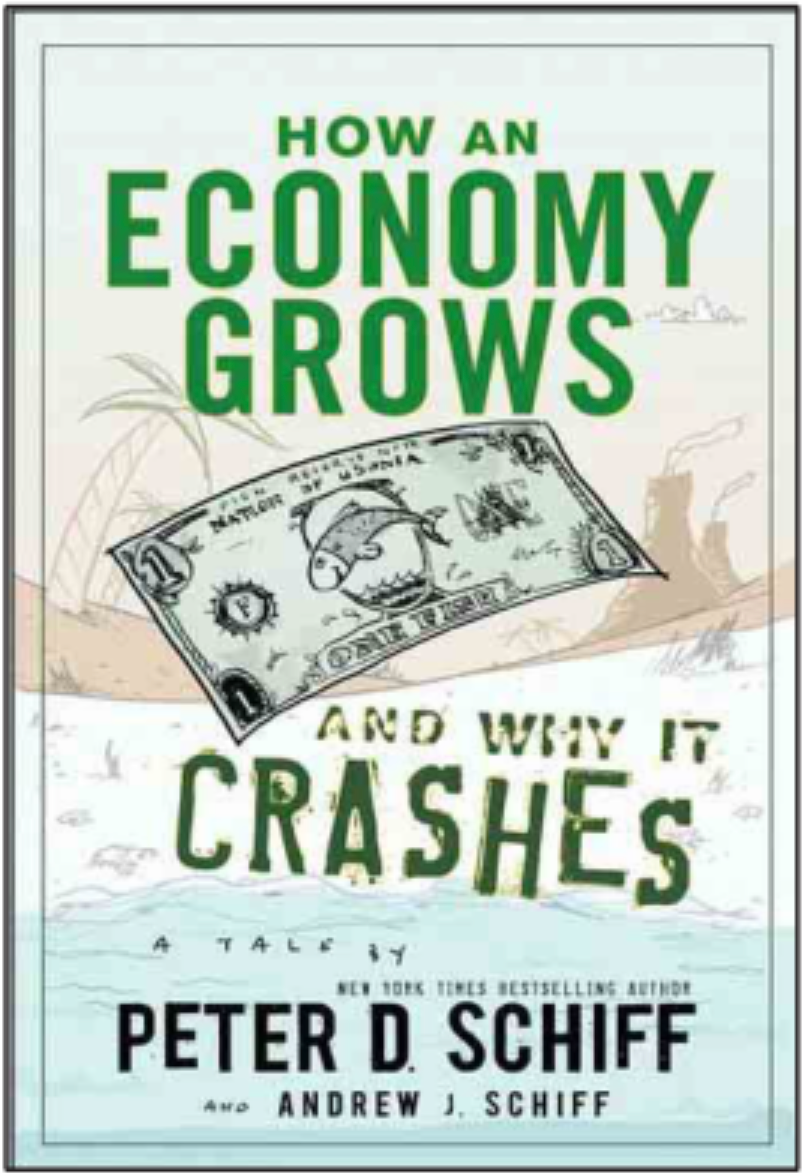 How Economy Grows and Why It Crashes